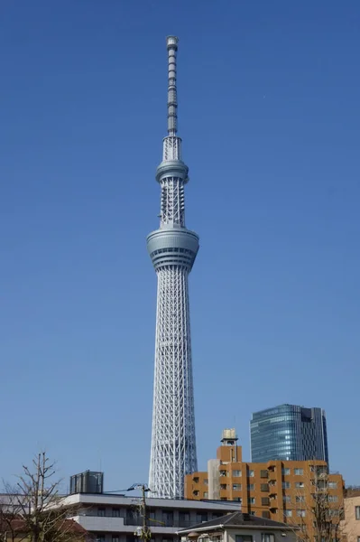 ラジオ塔でもあるランドマーク 東京のダウンタウンにある新しい有名な空の木 — ストック写真