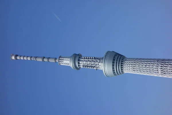 Een Oriëntatiepunt Dat Ook Een Radiotoren Een Nieuwe Beroemde Hemelboom — Stockfoto