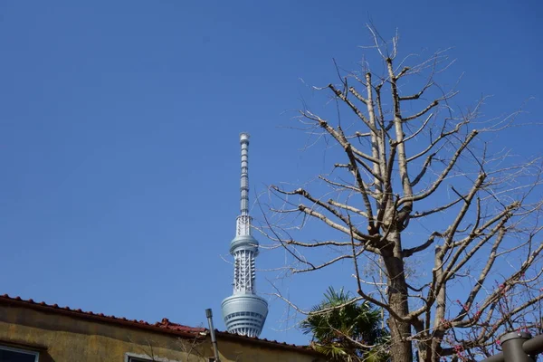 Aynı Zamanda Radyo Kulesi Olan Bir Dönüm Noktası Tokyo Şehir — Stok fotoğraf