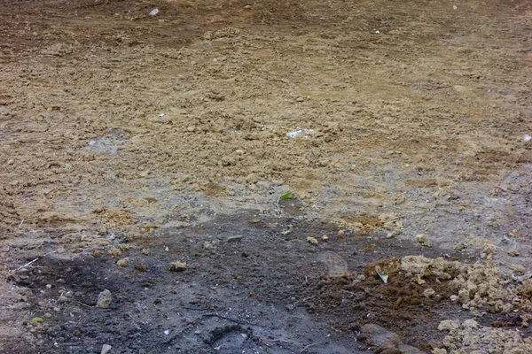 Toprak yüzeyi yağ lekeleriyle dolu.