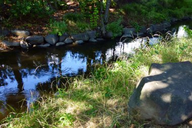 Derin pencere deresi olan taze yeşil park