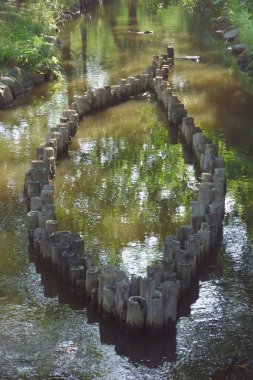 Şifa parkının göletinde çürümüş parçalar sıraya dizilmiş gibi görünüyor.