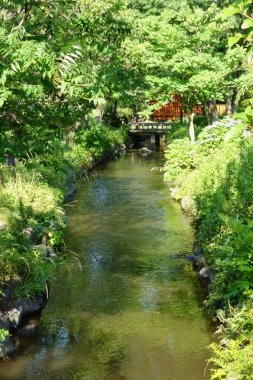 Derin pencere deresi olan taze yeşil park