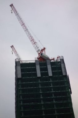 Tokyo 'daki Shibuya İstasyonu' nun önündeki Hikarie yakınlarında.