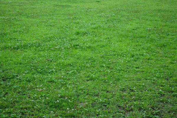 Ein Weites Feld Einem Städtischen Leerstand — Stockfoto