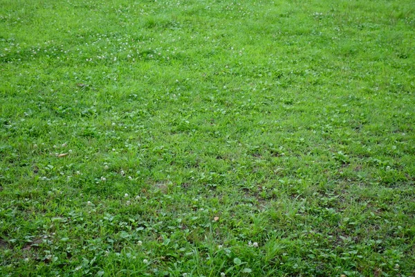 Ein Weites Feld Einem Städtischen Leerstand — Stockfoto