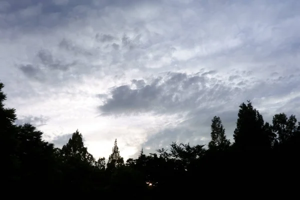 Modèle Mer Nuages Ouest Crépuscule Milieu Été Dans Les Montagnes — Photo