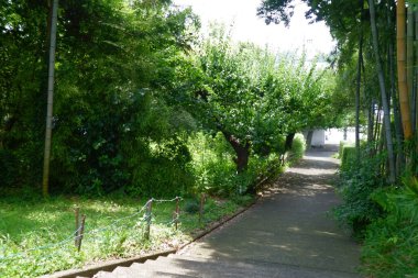 Renkli, yeşil yolları olan bir orman parkı.