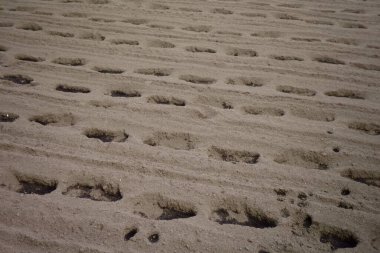 Tarladan önce toprak, olduğu gibi kalır.