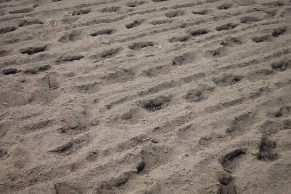 Campo Antes Cultivo Solo Deixado Como Está — Fotografia de Stock