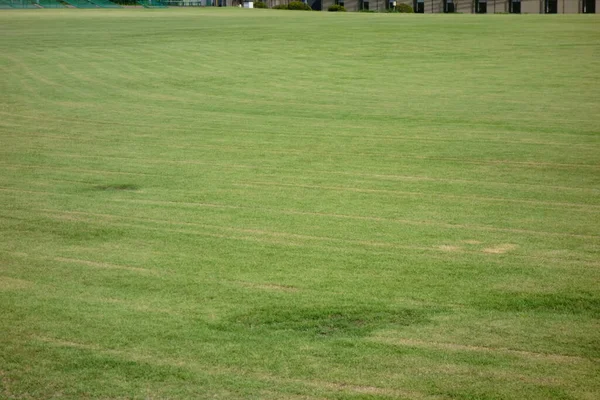 Schitterend Goed Onderhouden Grasveld — Stockfoto