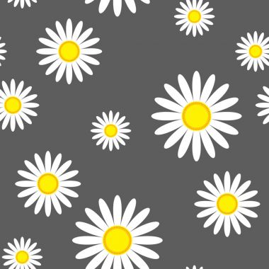 Gri arka plan üzerinde beyaz çiçekler. Seamless modeli.