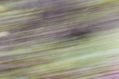 Orman yolunun silme deseni