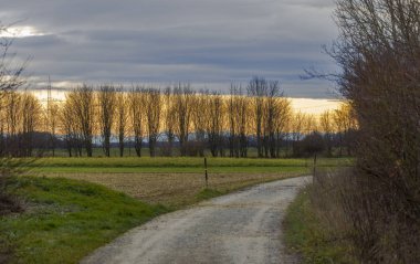 alan ve mavi gökyüzü bulutlu yaz, ağaçlar