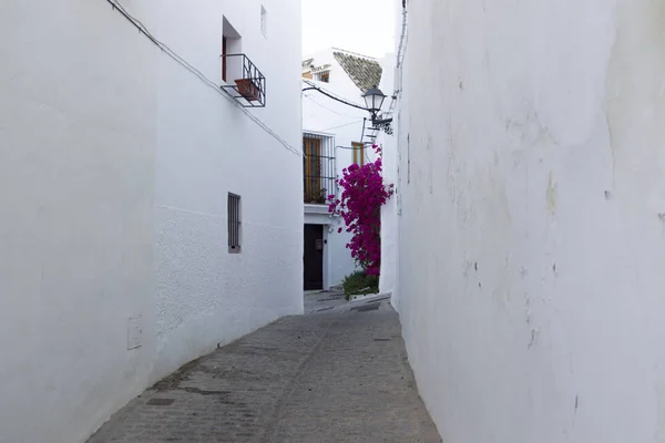 Fachadas Casas Pueblo Blanco Vejer Frontera Andalucía — Foto de Stock