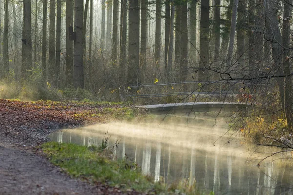 在阳光明媚的冬日早晨 从森林道路上的小溪上升雾 — 图库照片