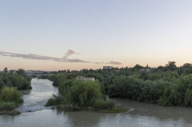 Cordoba yakınlarındaki Guadalquivir nehrindeki bir su değirmeninin yıkıntısı.