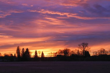 Ormanın kenarında renkli gündoğumu