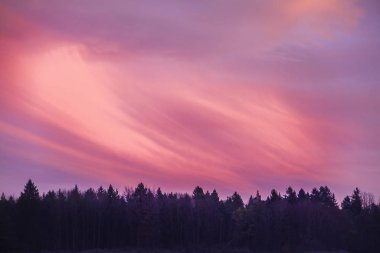 Ormanın kenarında renkli gündoğumu