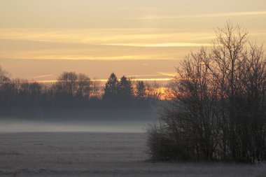 Ormanın kenarında renkli gündoğumu