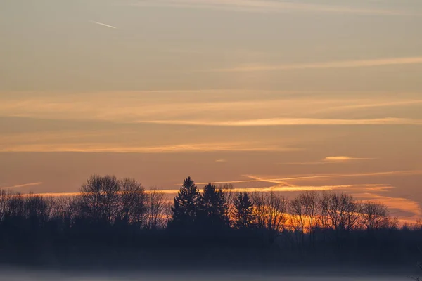 Farbenfroher Sonnenaufgang Über Dem Waldrand — Stockfoto