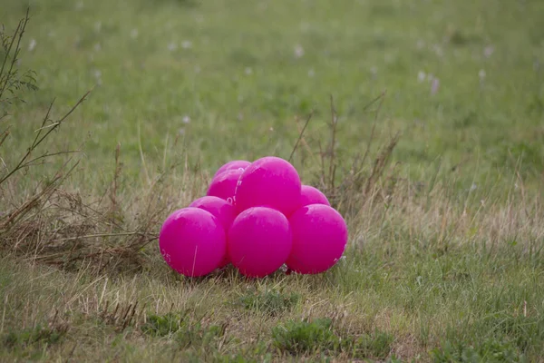 Palloncini Colore Rosa Prato — Foto Stock