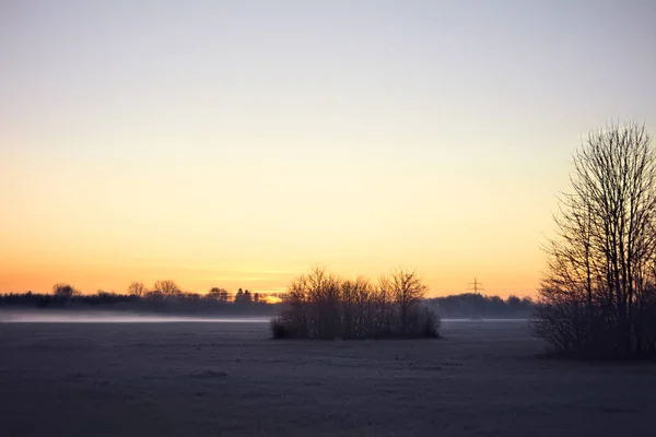 Цветной Восход Солнца Над Краем Леса — стоковое фото