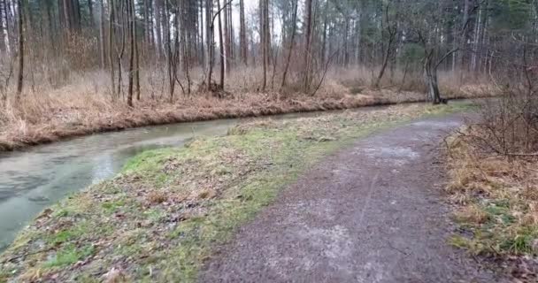晨飞过一条小河 河岸上有刚剪断的残枝 — 图库视频影像