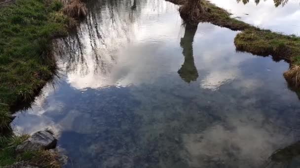 晨飞过一条小河 河岸上有刚剪断的残枝 — 图库视频影像
