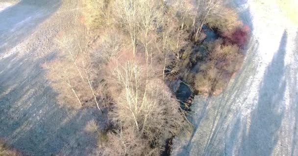 Blick Von Oben Auf Den Brunnenbach Und Die Vereisten Wiesen — Stockvideo