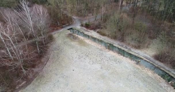 Morgenflug Über Einen Kleinen Bach Mit Frisch Gemähten Krüppelweiden Ufer — Stockvideo