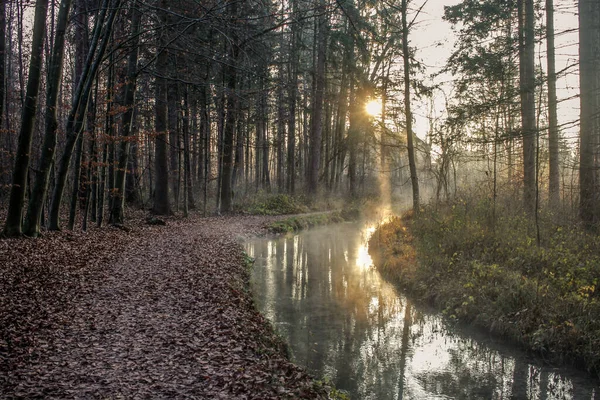 Nevoeiro Sobe Uma Manhã Ensolarada Inverno Riacho Estrada Floresta — Fotografia de Stock