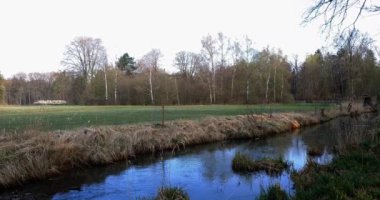 Baharda temiz bir derenin üzerinden bir ormanın içinden uçmak