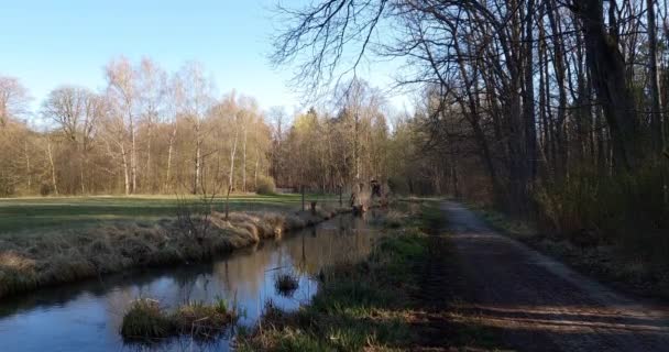 Flug Durch Den Wald Frühling Über Einen Klaren Bach — Stockvideo