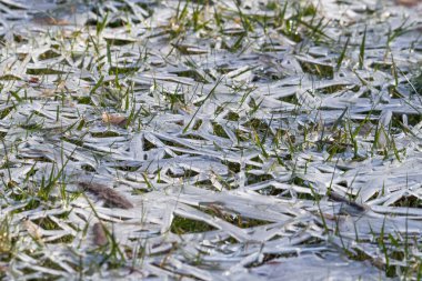 Çimenlerin arasındaki buzlar