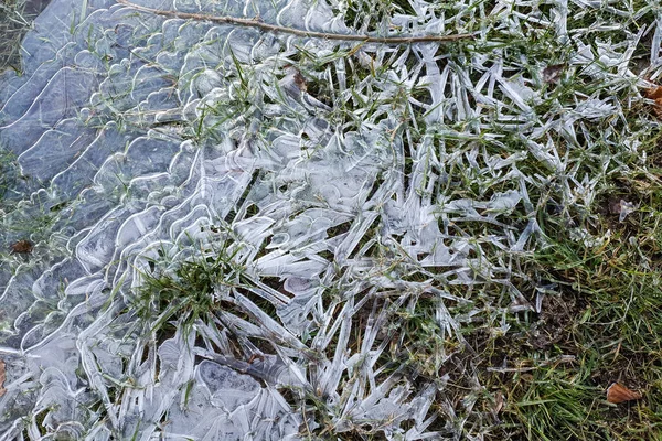 Eis Zwischen Grashalmen — Stockfoto