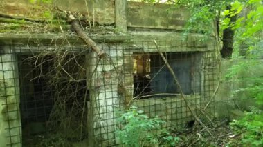 Ormanda çöplerle dolu terk edilmiş bir bina.