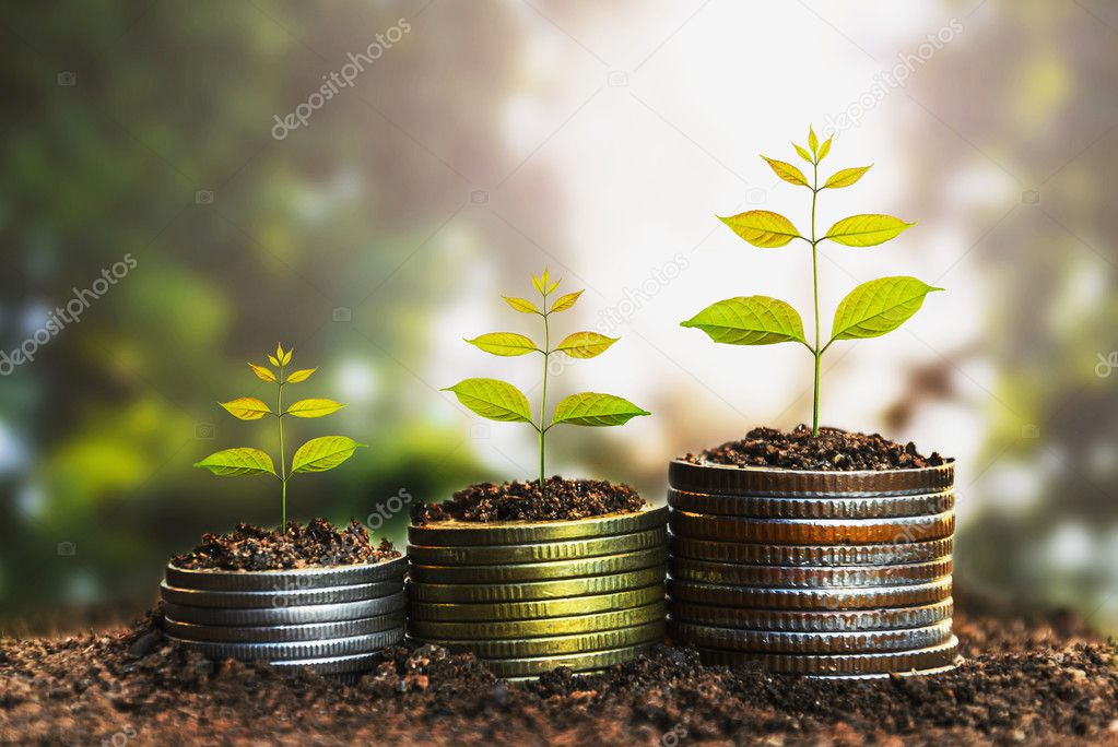 Money growing concept,Business success concept, Tree growing on pile of coins money