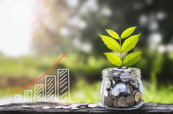 Växande pengar och växt, Spara pengar konceptet Graf — Stockfoto