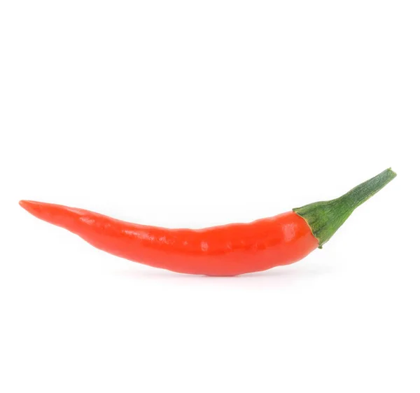Roter Chili- oder Cayennepfeffer isoliert auf weißem Hintergrund — Stockfoto