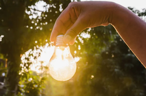 Hand Holding Light Bulb Sunset Concept Use Alternative Energy World — Stock Photo, Image