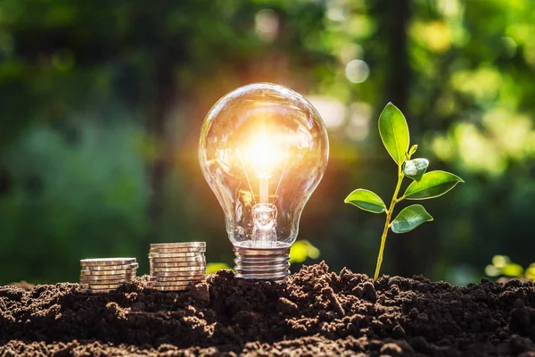 Concetto di energia. eco potenza. lampadina con soldi e piante giovani — Foto Stock