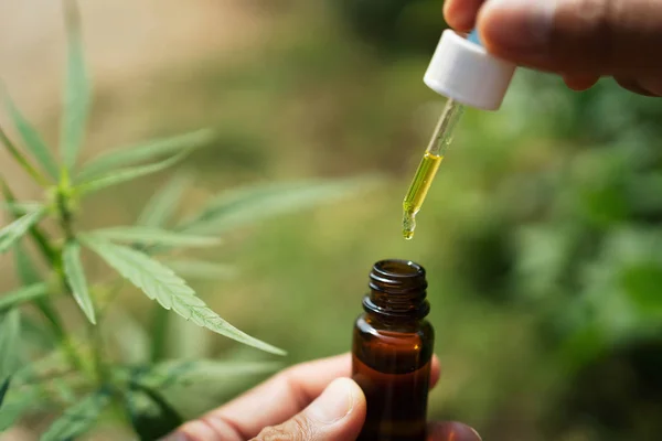 CBD olej