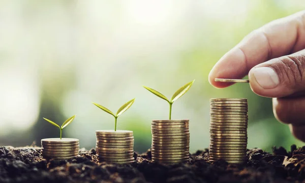 Hand putting money on stack with small tree growing step in coin — Stock Photo, Image