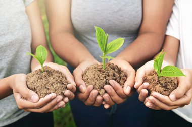 People Hands genç bitkiyi tutuyor ve ayakta duruyor. Çevre kavramını geliştir