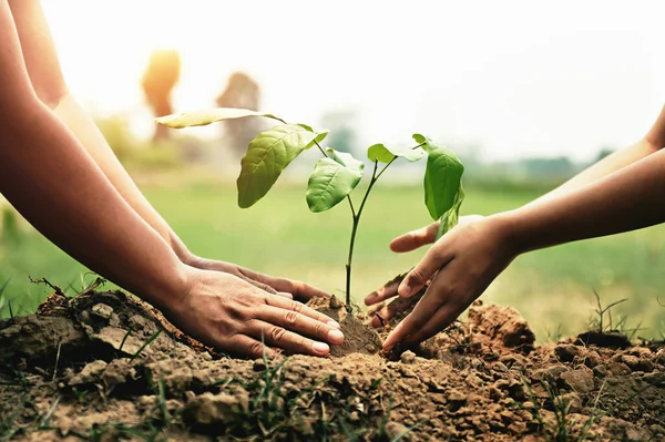 地球を救うために木を植えるのを手伝ってくれる子供を持つ母親 環境生態系の概念 — ストック写真