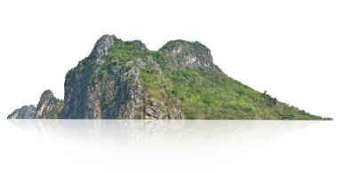 Panorama Dağı beyaz arkaplanda ağaç izolasyonu