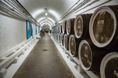 şarap mahzeni ve Şarap fıçıları