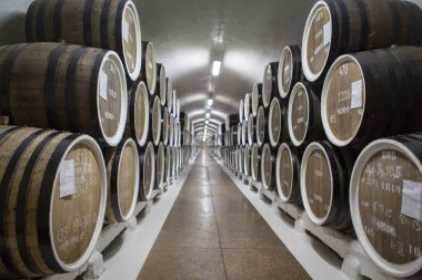 şarap mahzeni ve Şarap fıçıları