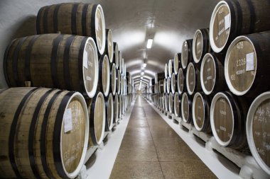 şarap mahzeni ve Şarap fıçıları